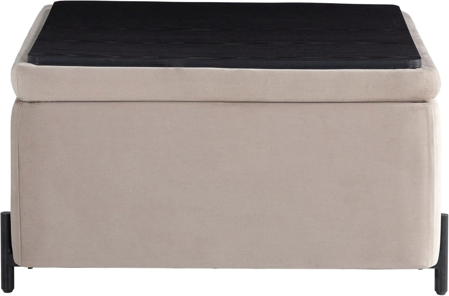 Connor Thirty One Point One Inch Taupe Velvet Storage Ottoman-4
