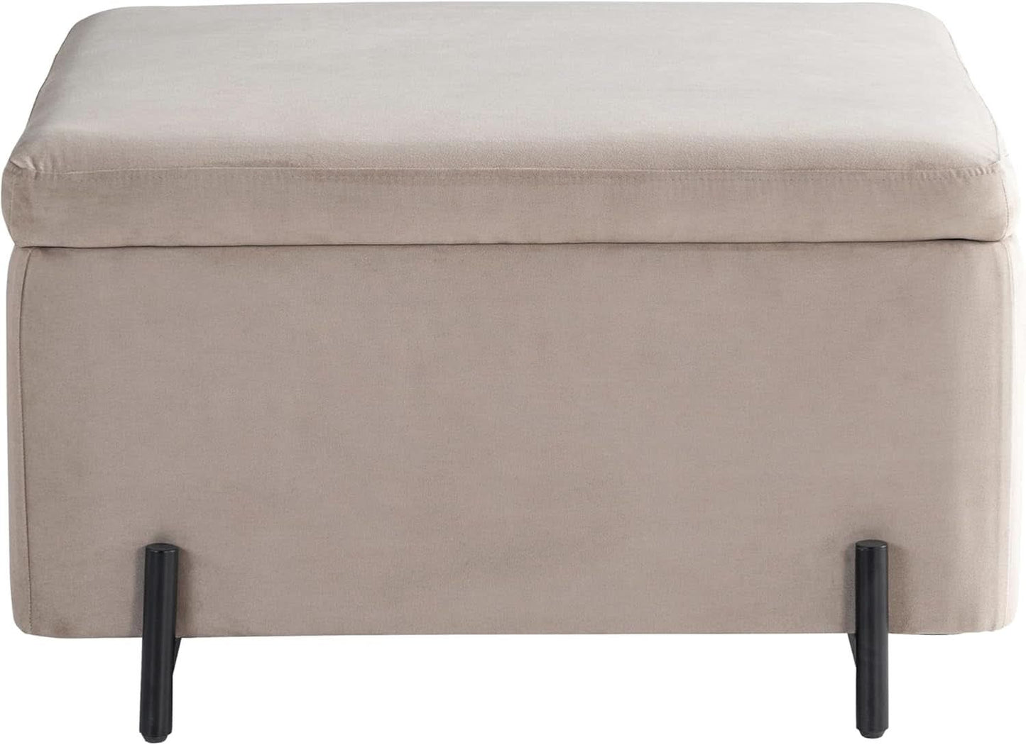Connor Thirty One Point One Inch Taupe Velvet Storage Ottoman-3